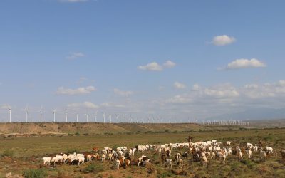 Kenya – Invest in Renewable Energy Africa